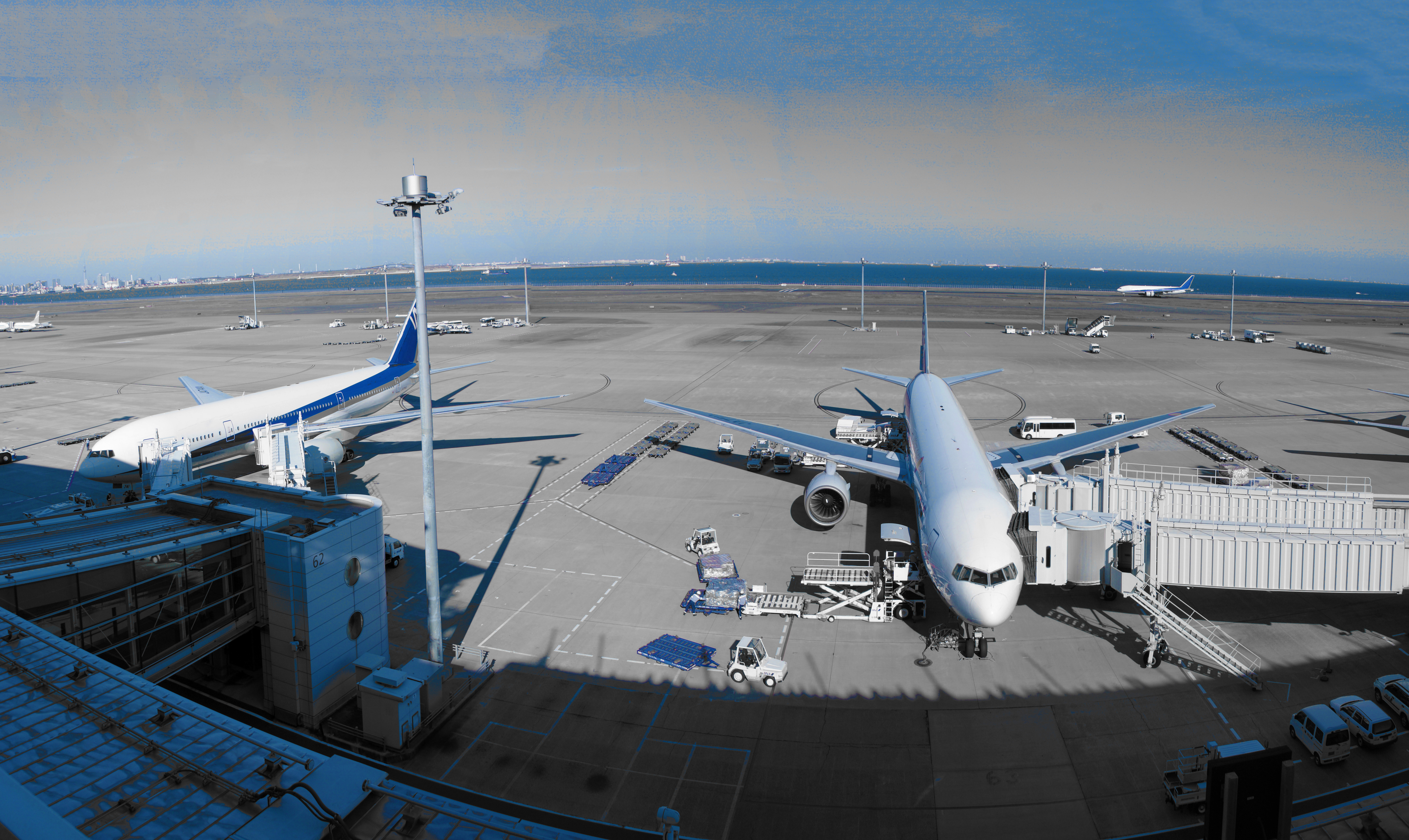 スポットに駐機する全日空機