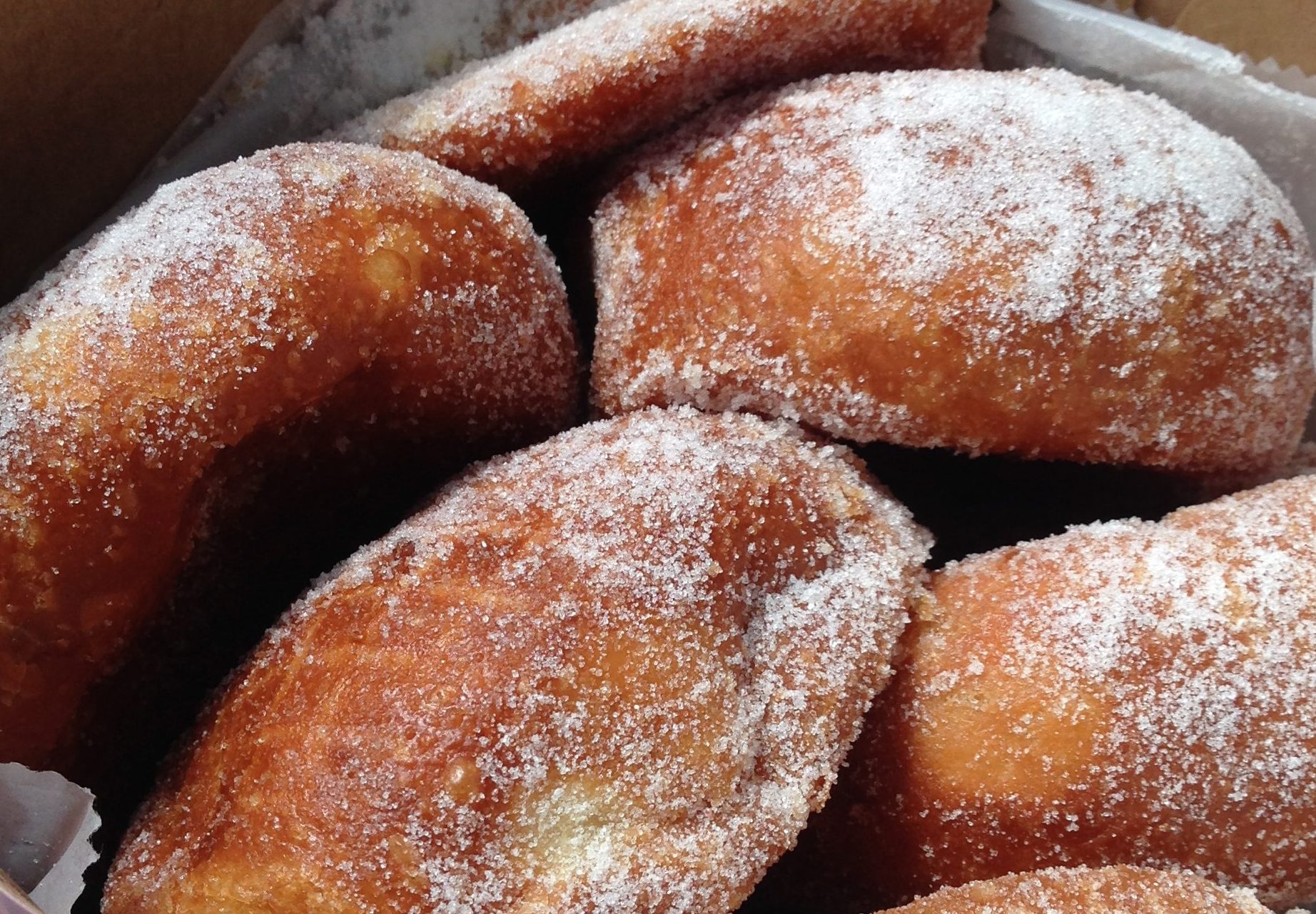 箱に入ったレナーズベーカリーのマラサダ