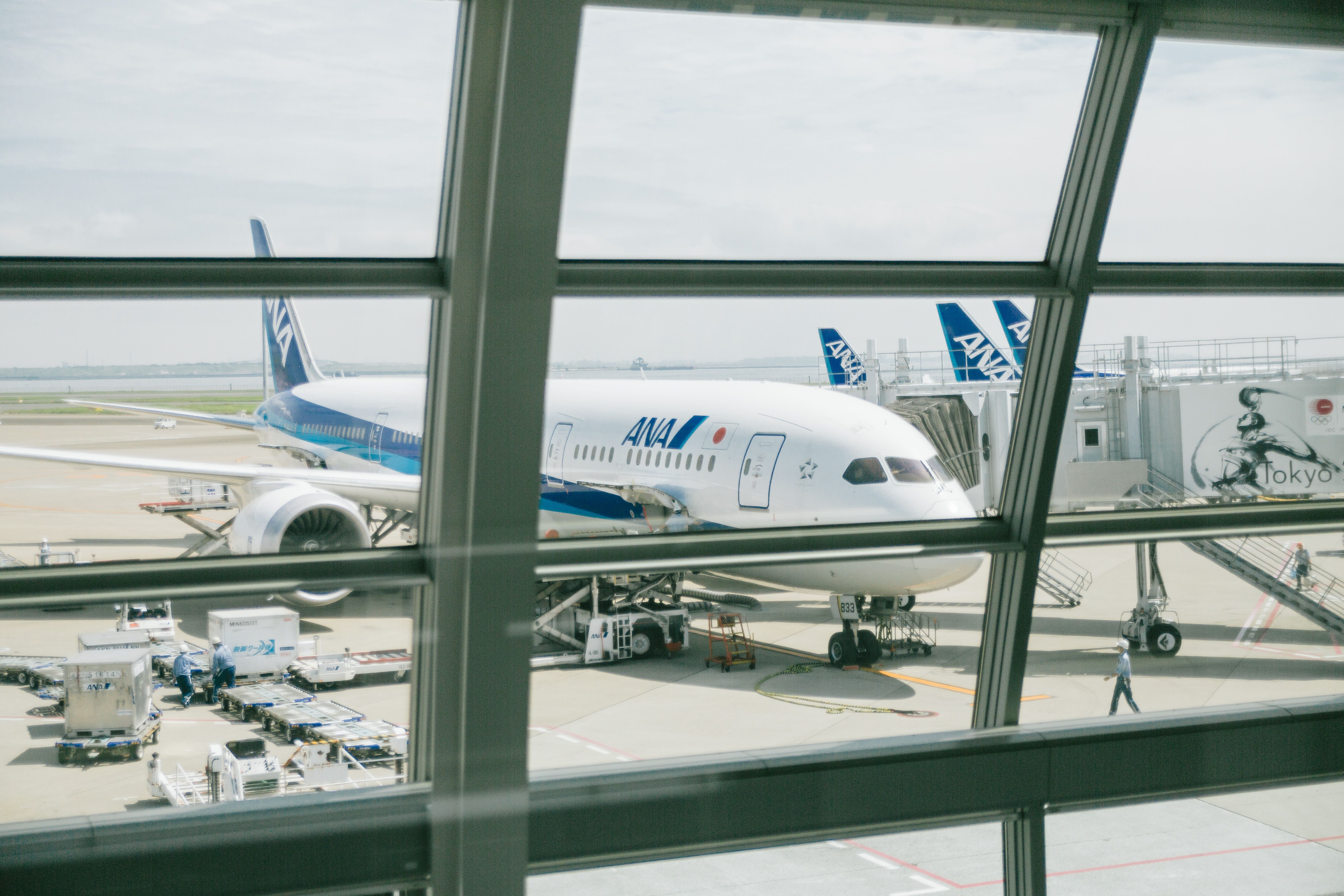 旅客ターミナル内から見たスポットに駐機する全日空機